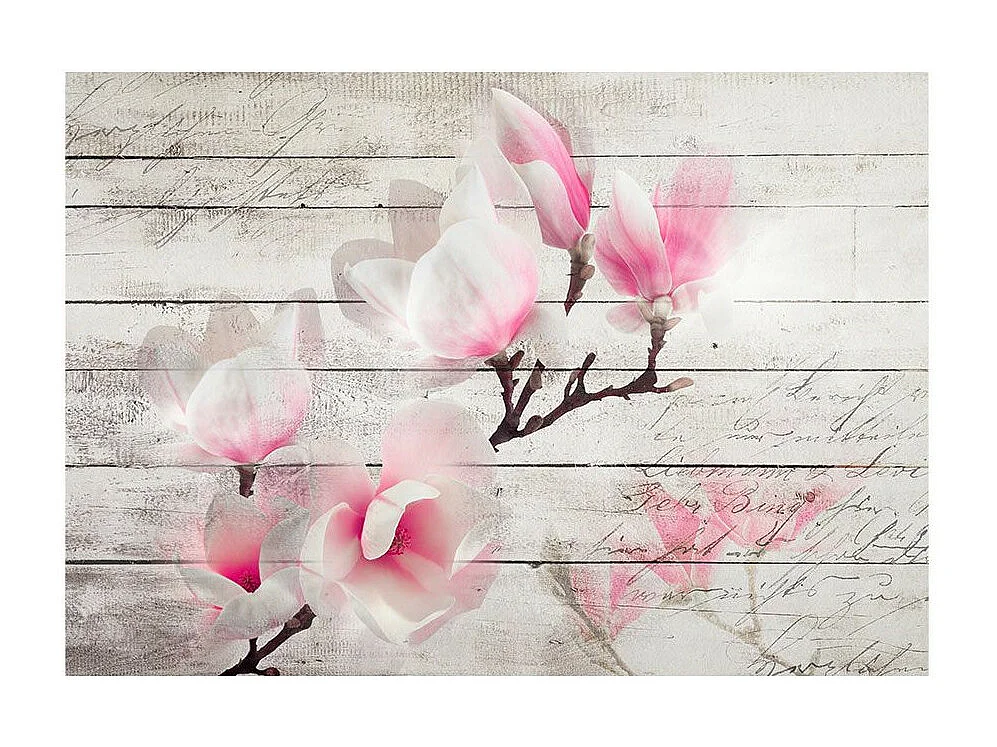Papier Peint "Gentleness of the Magnolia" 210 x 300 cm