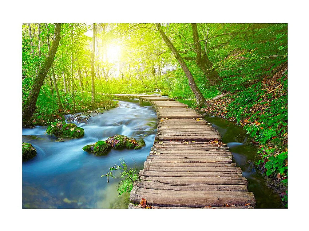 Papier Peint "Green Forest" 175 x 250 cm