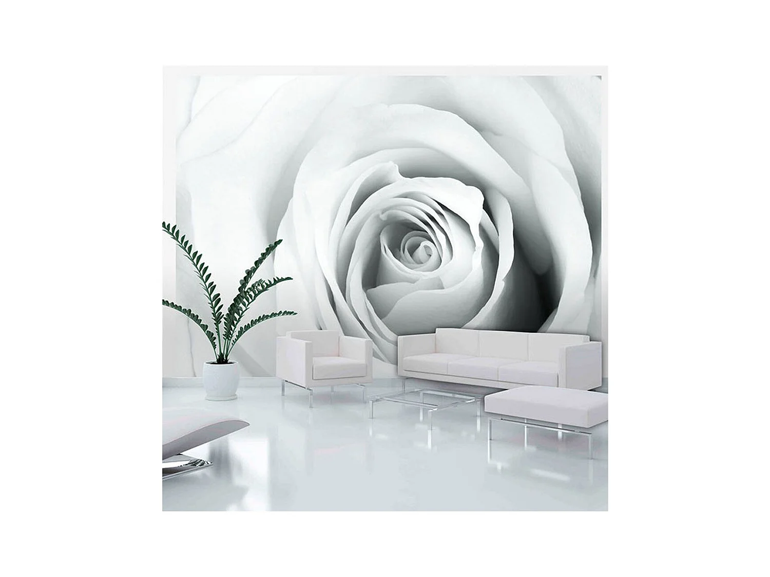 Papier Peint "Rose Charade" 245 x 350 cm