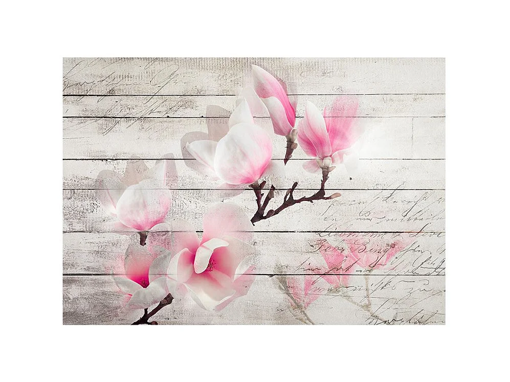 Papier Peint "Gentleness of the Magnolia" 175 x 250 cm