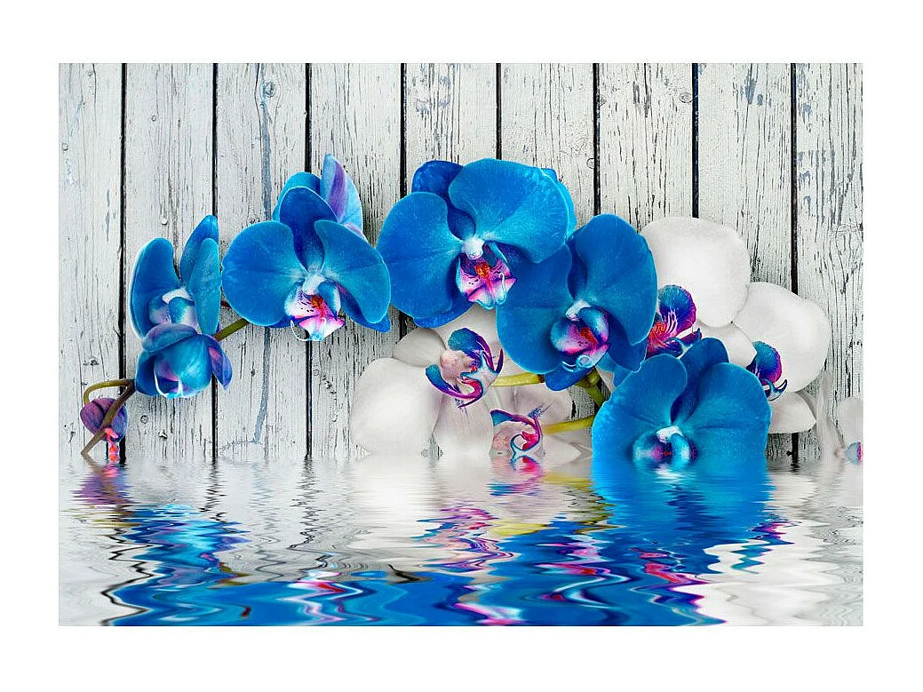 Papier Peint "Cobaltic Orchid" 175 x 250 cm