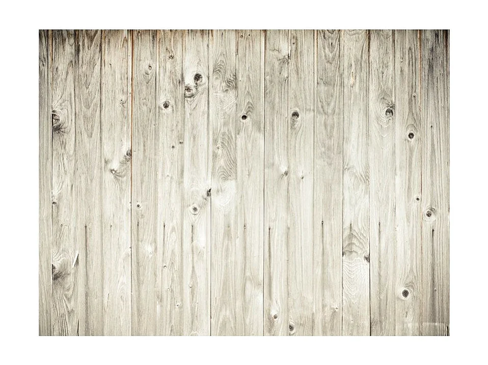 Papier Peint "Clôture en Bois" 270 x 350 cm