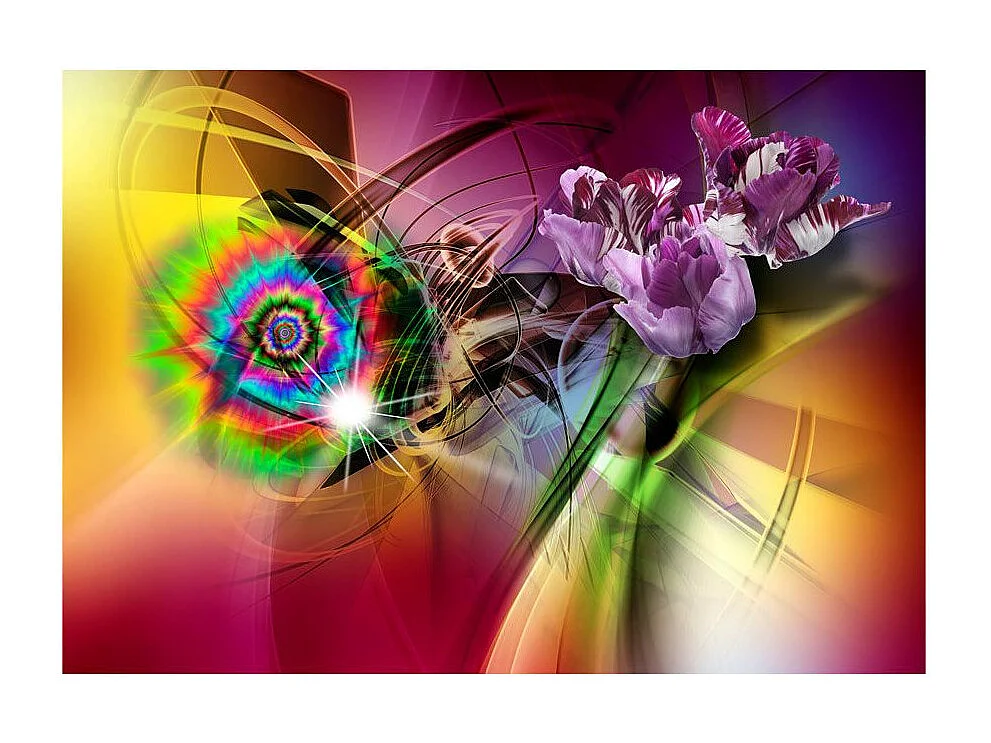 Papier Peint "Magic Light of Colors" 140 x 200 cm