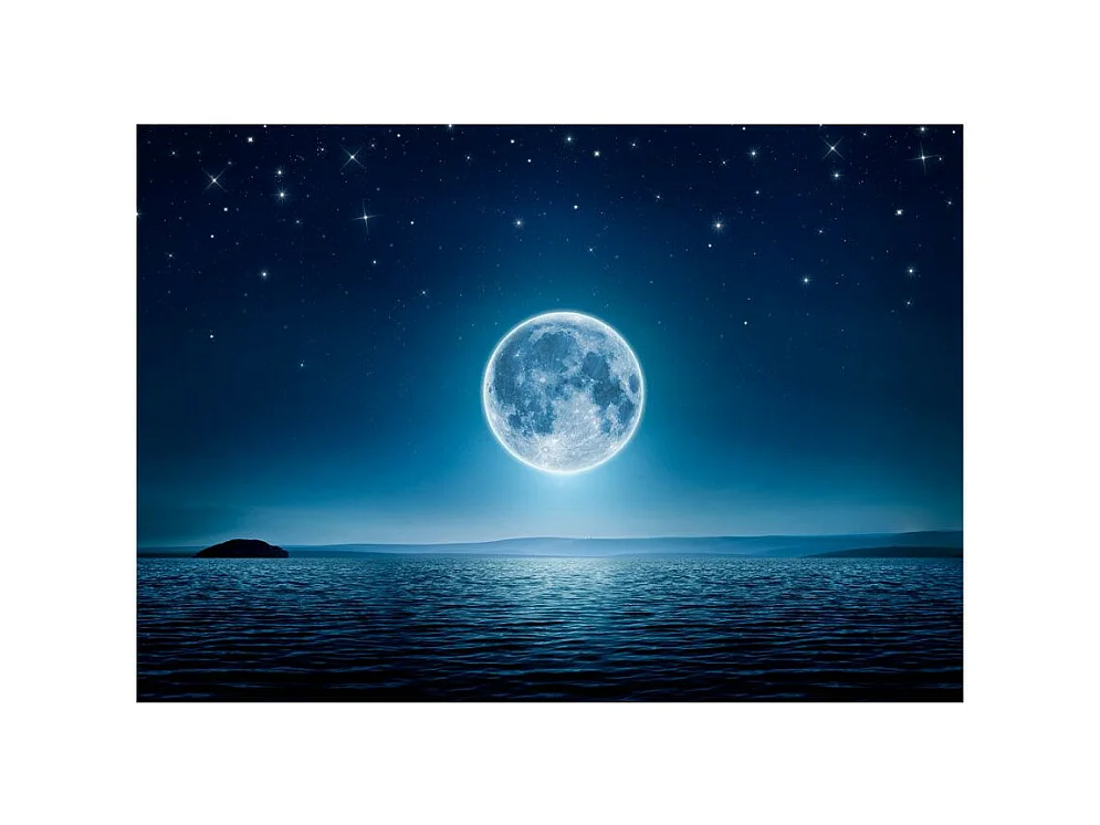 Papier Peint "Moonlit Night" 70 x 100 cm