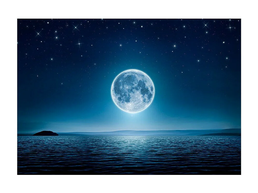 Papier Peint "Moonlit Night" 70 x 100 cm
