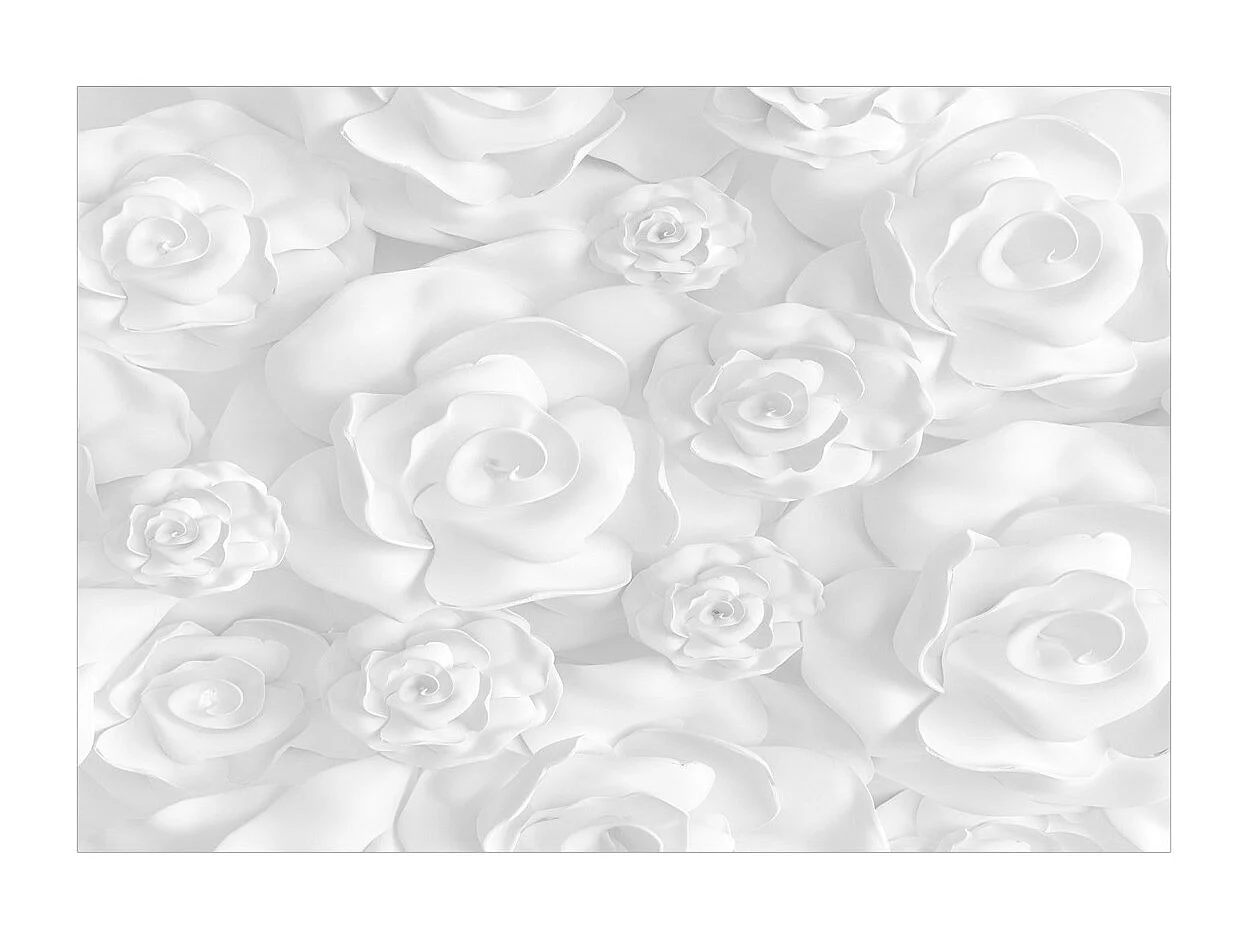 Papier Peint "Plaster Flowers" 210 x 300 cm