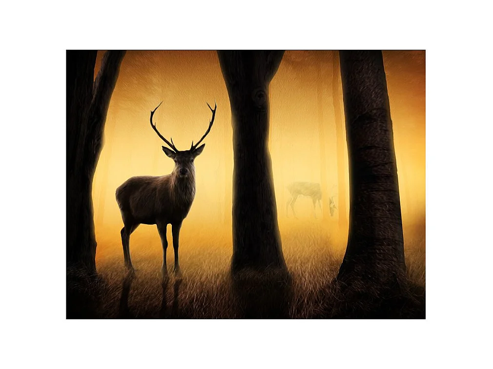 Papier Peint "Deer in His Natural Habitat" 231 x 300 cm