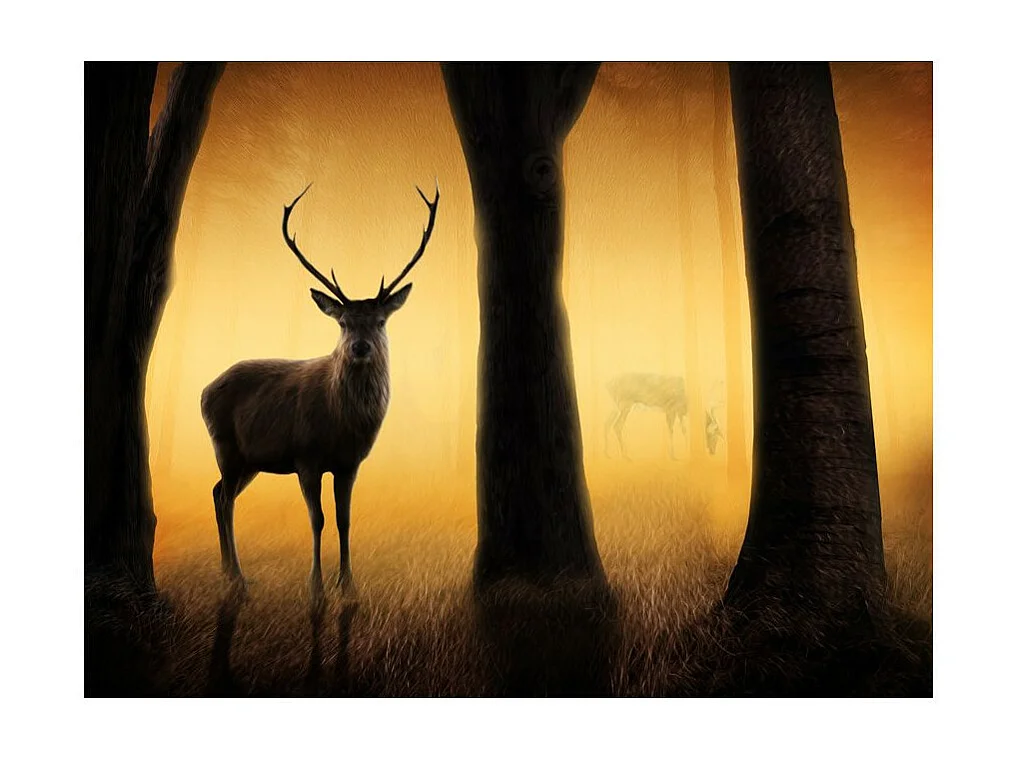 Papier Peint "Deer in His Natural Habitat" 231 x 300 cm