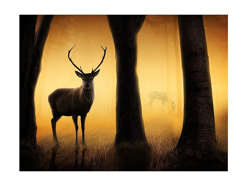 Papier Peint "Deer in His Natural Habitat" 231 x 300 cm