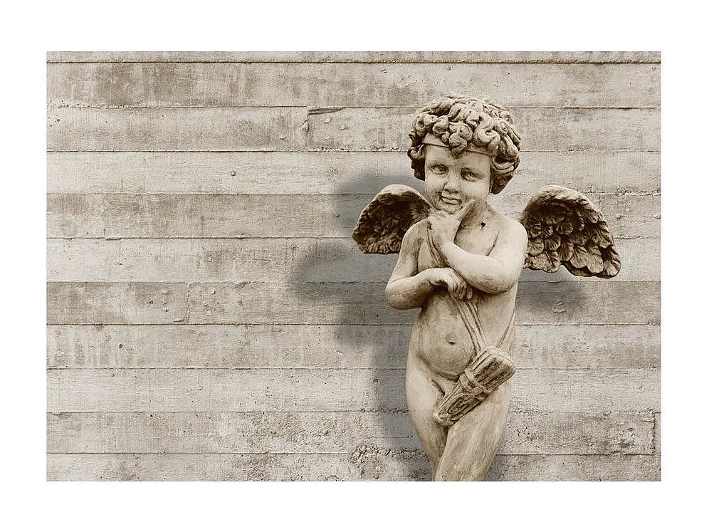 Papier Peint "Angelic Face" 245 x 350 cm