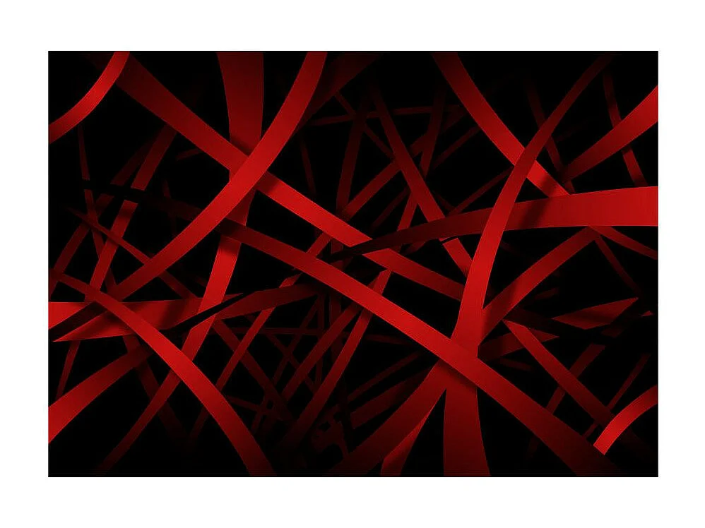 Papier Peint "Fear of the Dark" 245 x 350 cm