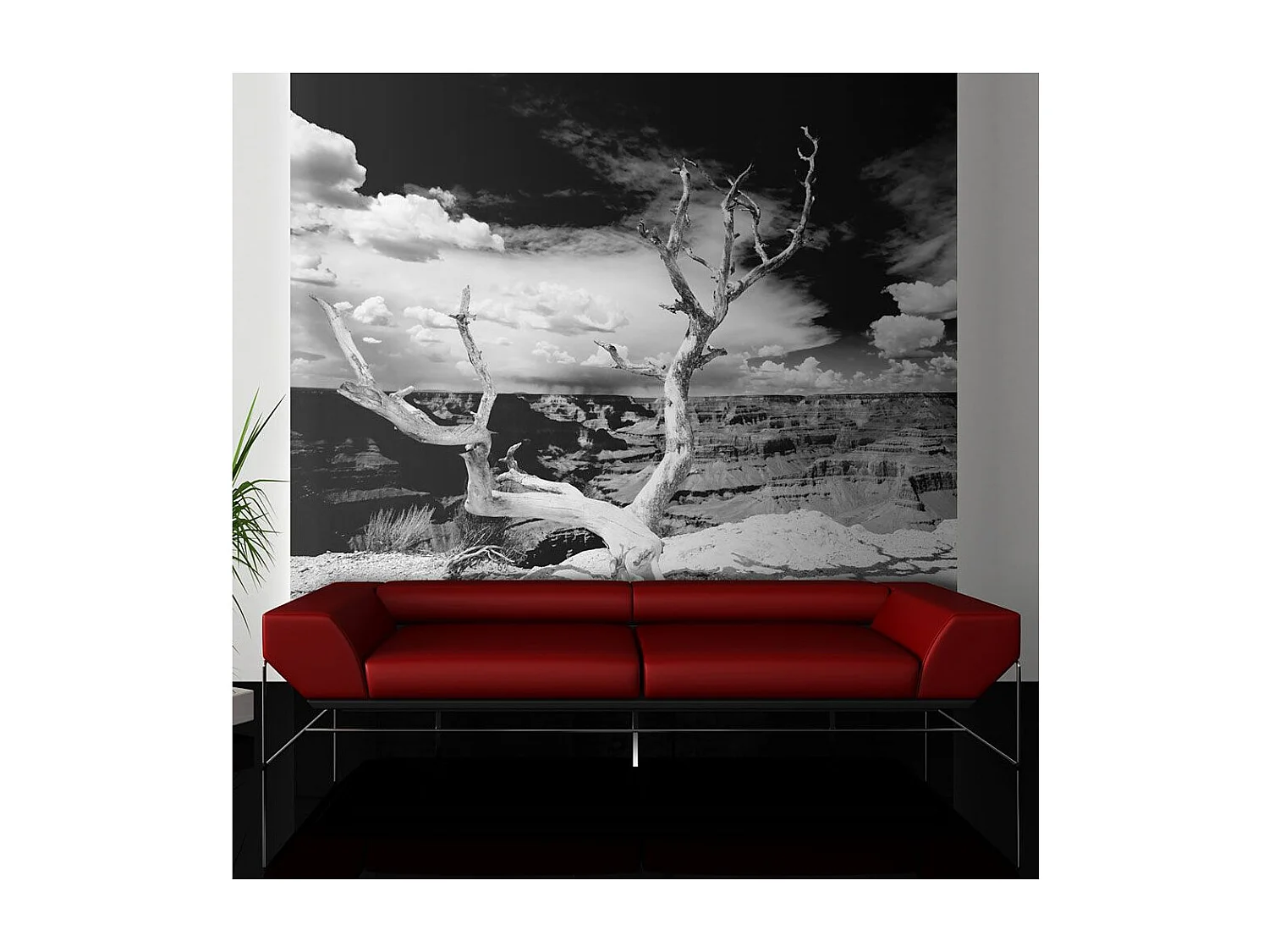 Papier Peint "Arbre au Grand Canyon, Arizona" 231 x 300 cm