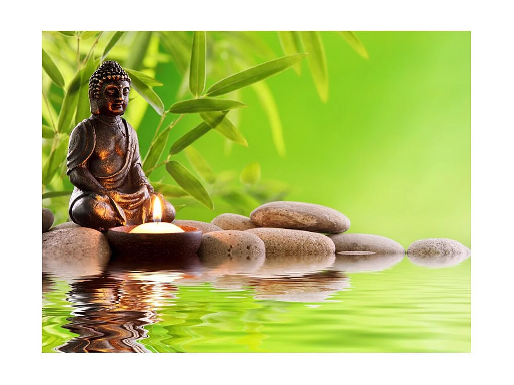 Papier Peint "Practice of Self Knowledge" 193 x 250 cm