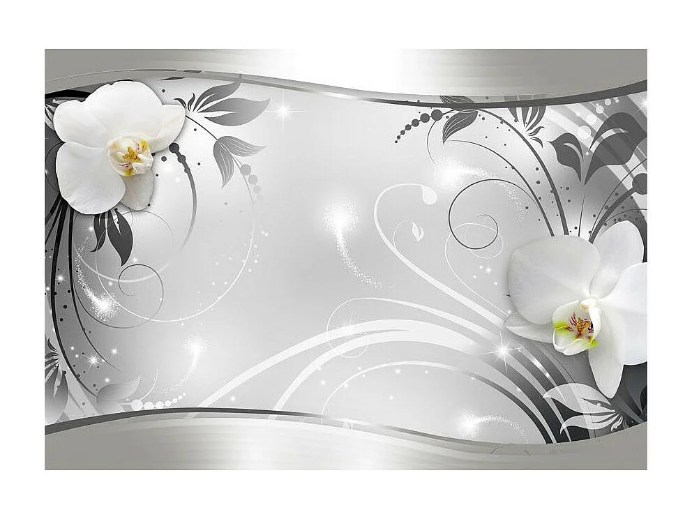 Papier Peint "Abstraction en Argent" 210 x 300 cm