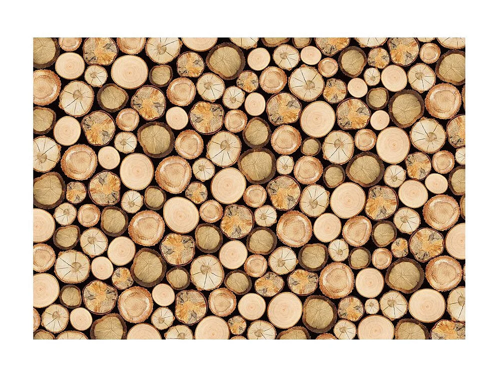 Papier Peint "Dans la Scierie" 105 x 150 cm