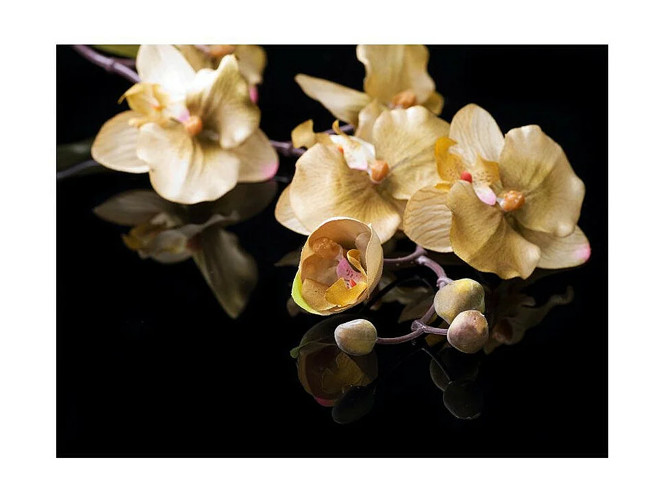 Papier Peint "Orchids in Ecru Color" 154 x 200 cm