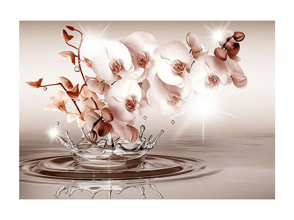 Papier Peint "Touch of Tenderness" 245 x 350 cm