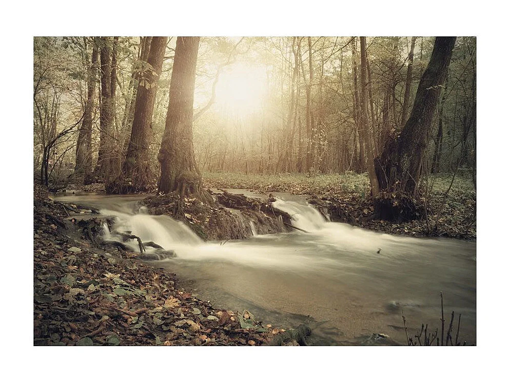 Papier Peint "Forest Cascade" 105 x 150 cm