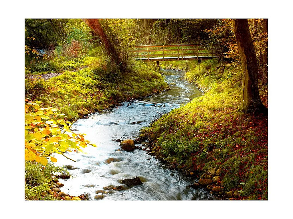 Papier Peint "Ruisseau Lever de Soleil" 231 x 300 cm