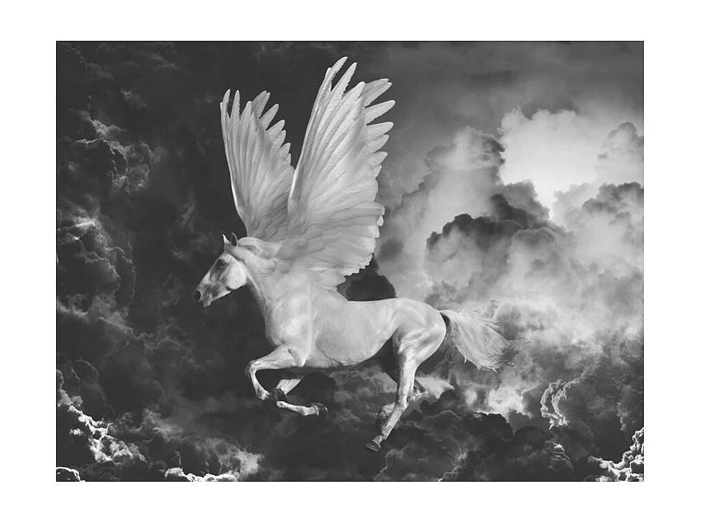 Papier Peint "Pegasus sur le Chemin de l'Olympe" 154 x 200 cm