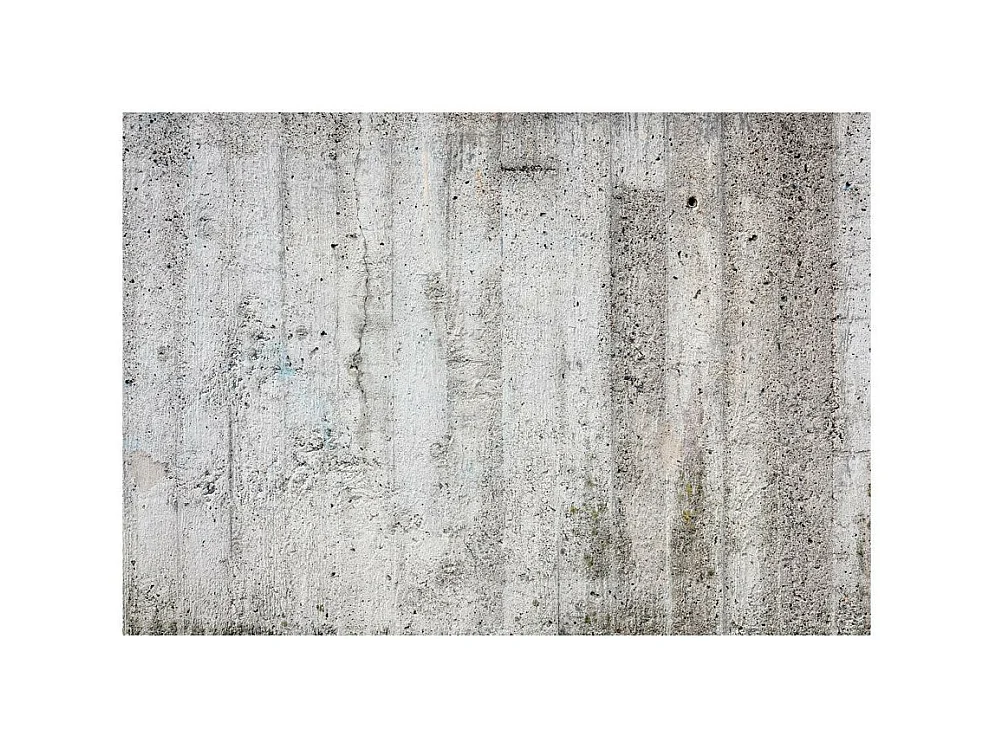 Papier Peint "Grey Emperor" 245 x 350 cm