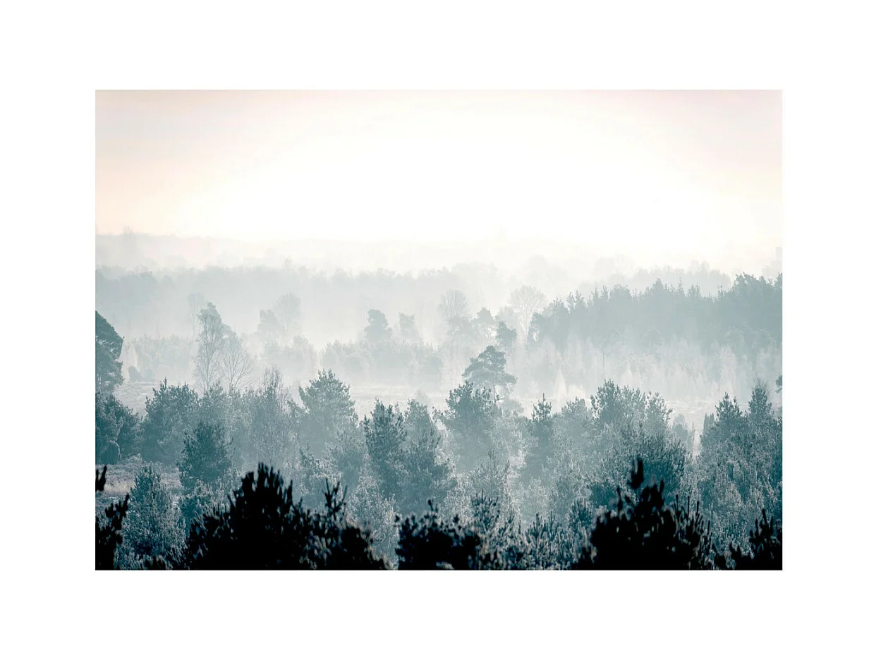 Papier Peint II "Winter Forest" 140 x 200 cm
