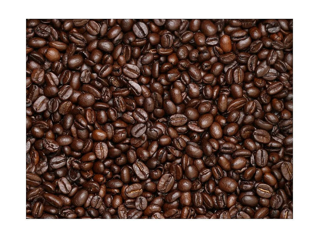 Papier Peint "Grains de Café" 193 x 250 cm