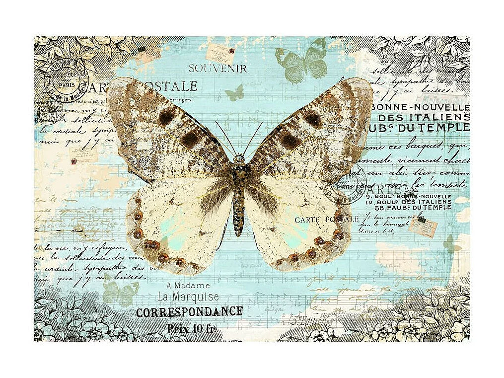 Papier Peint "Postcard with Butterfly" 210 x 300 cm