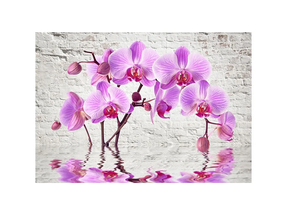 Papier Peint "Purple Delight" 140 x 200 cm