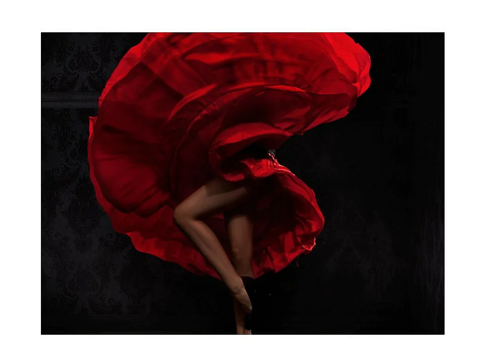 Papier Peint "Danseuse de Flamenco" 270 x 350 cm