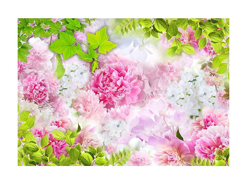 Papier Peint "Peonies" 70 x 100 cm