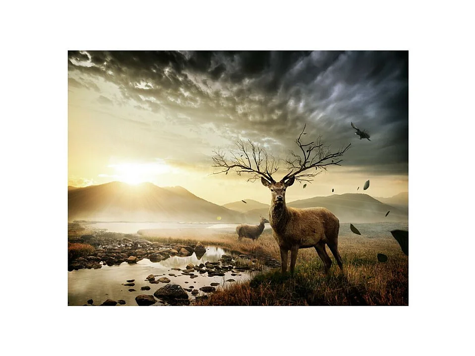 Papier Peint "Cerf & Ruisseau de Montagne" 231 x 300 cm