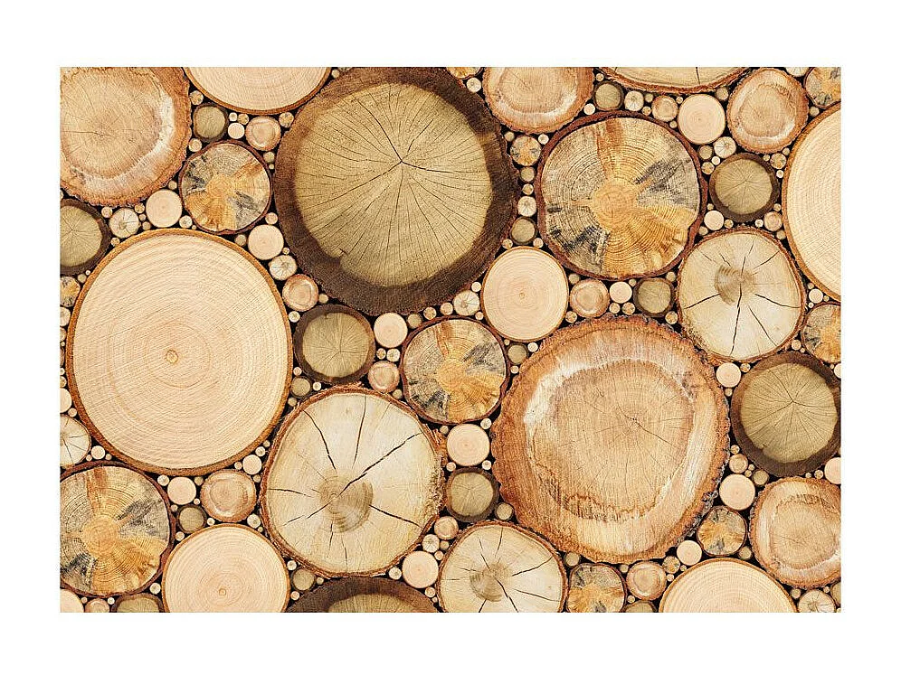 Papier Peint "Grains de Bois" 105 x 150 cm