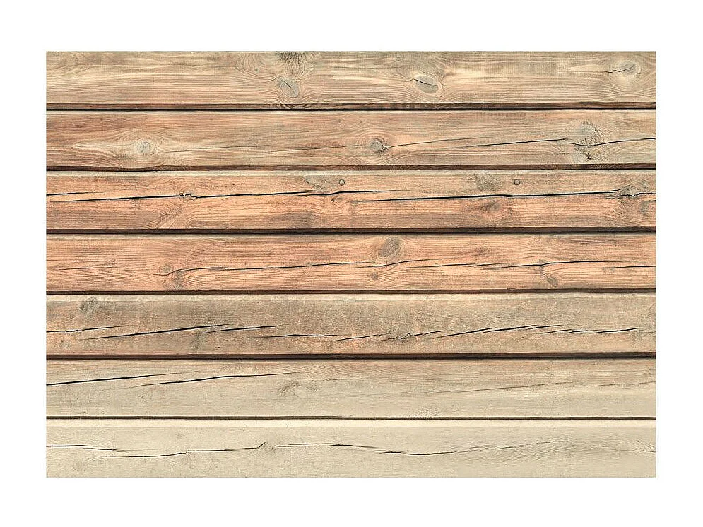 Papier Peint "Old Pine" 175 x 250 cm