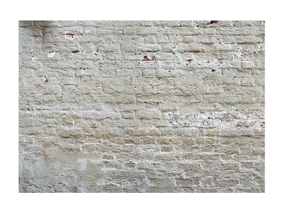 Papier Peint "Hidden Harmony" 70 x 100 cm