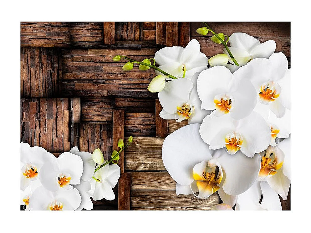 Papier Peint "Blooming Orchids" 245 x 350 cm