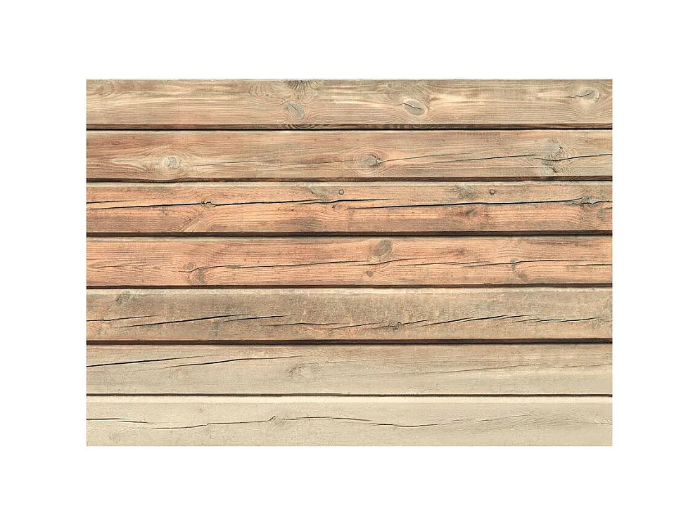 Papier Peint "Old Pine" 280 x 400 cm