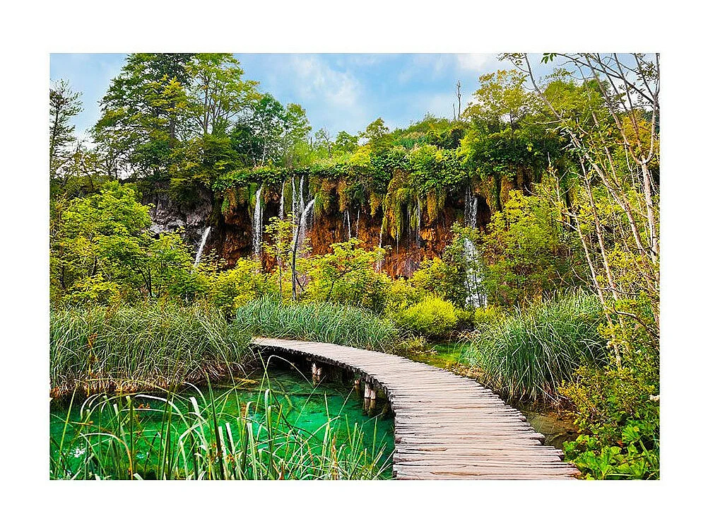 Papier Peint "Green Oasis" 210 x 300 cm