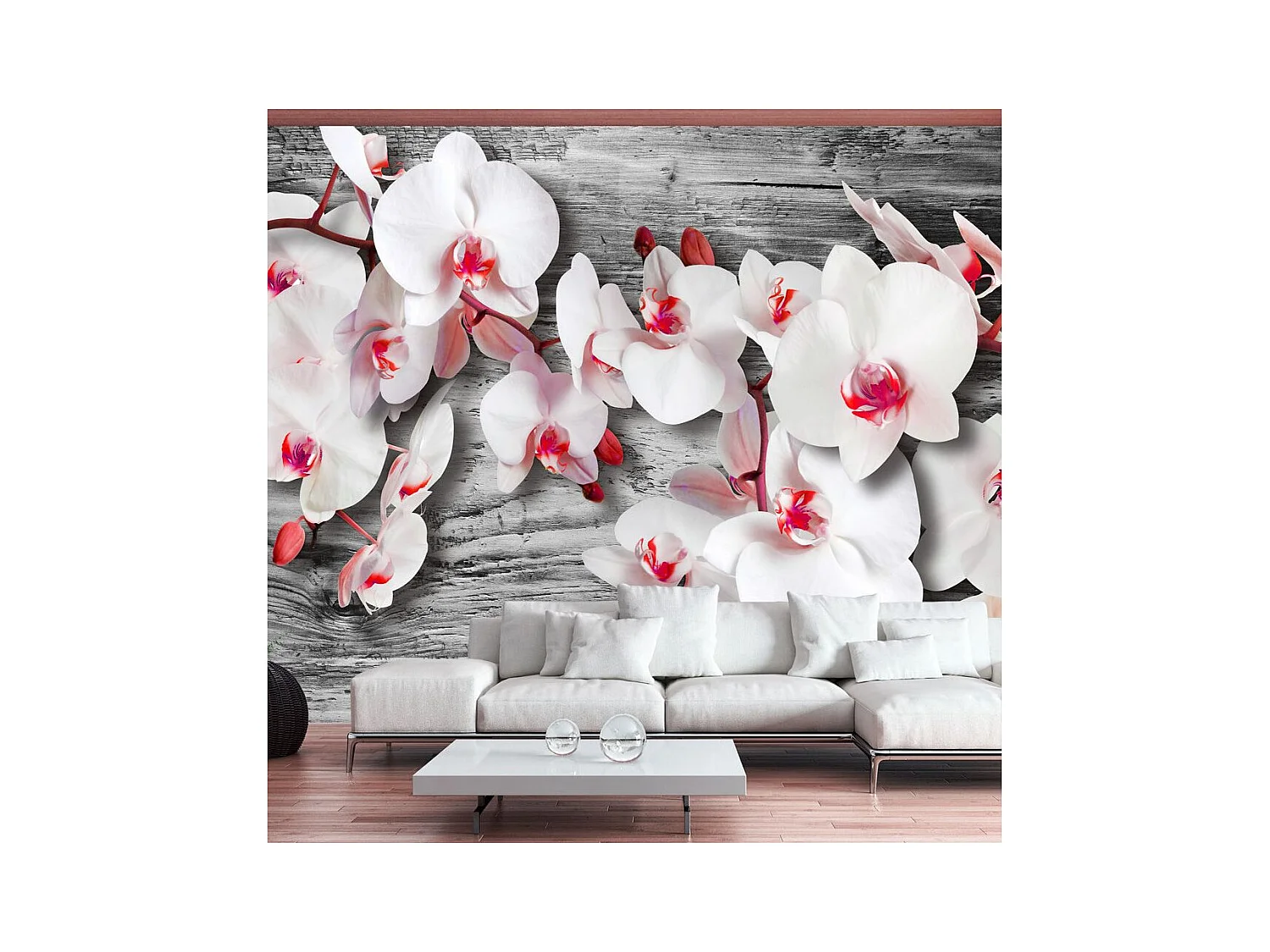 Papier Peint "Callous Orchids" 245 x 350 cm