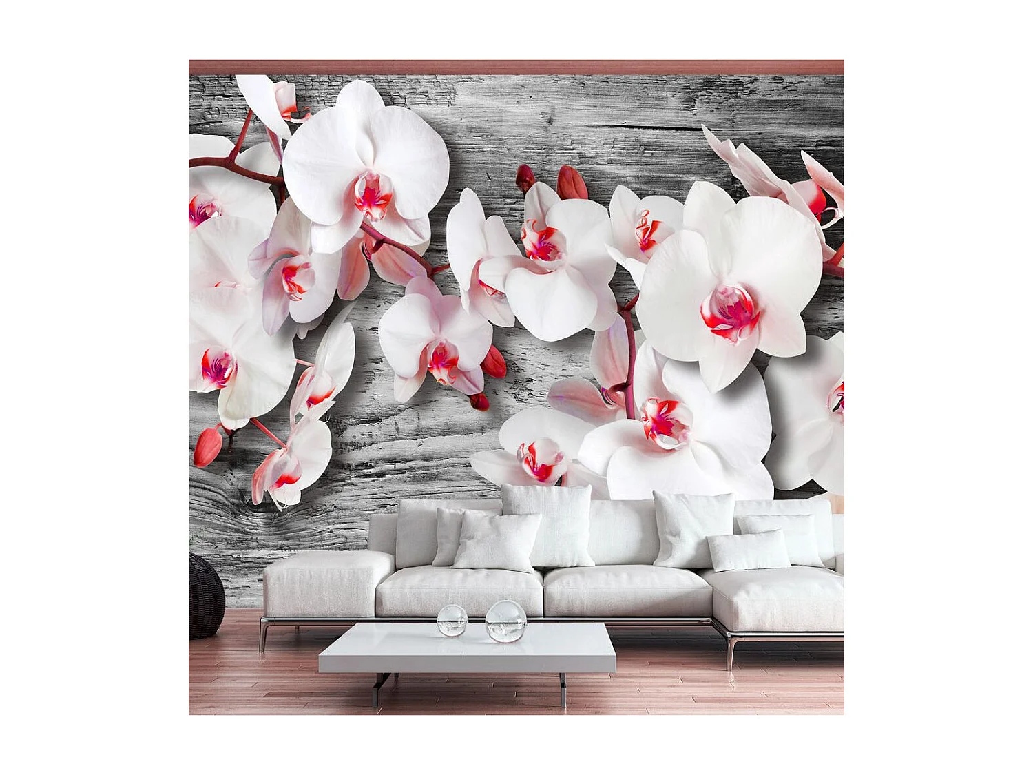 Papier Peint "Callous Orchids" 245 x 350 cm