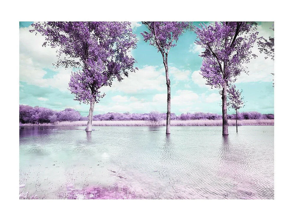 Papier Peint "Paysage de Bruyère" 140 x 200 cm