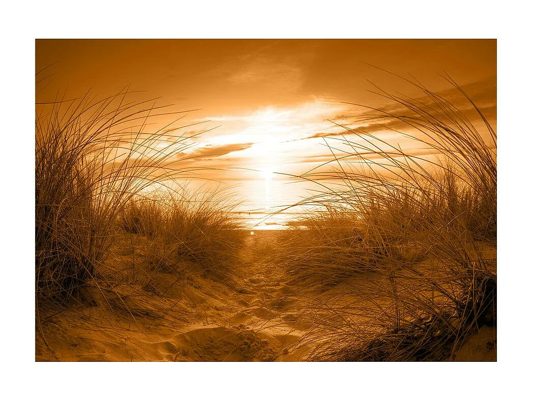 Papier Peint "Plage Sépia" 105 x 150 cm