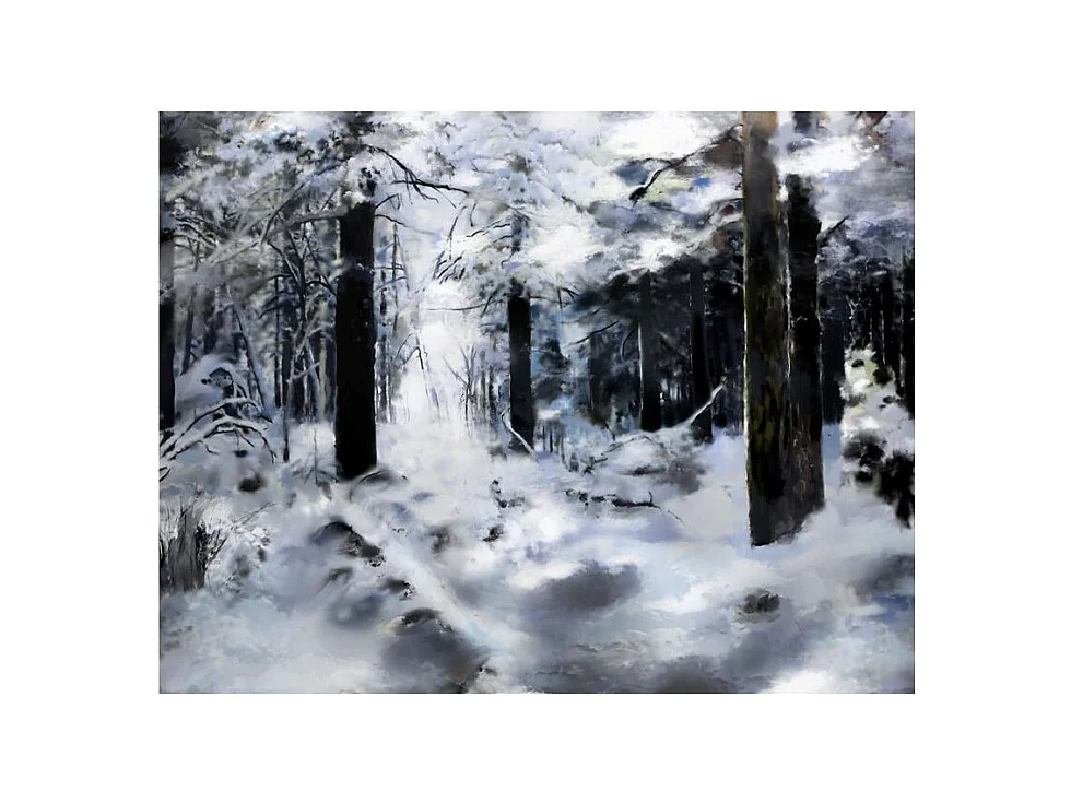 Papier Peint "Winter Forest" 270 x 350 cm