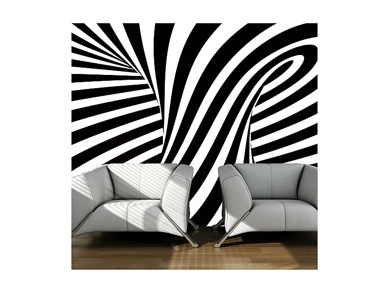 Papier Peint "Art Optique : Noir & Blanc" 270 x 350 cm