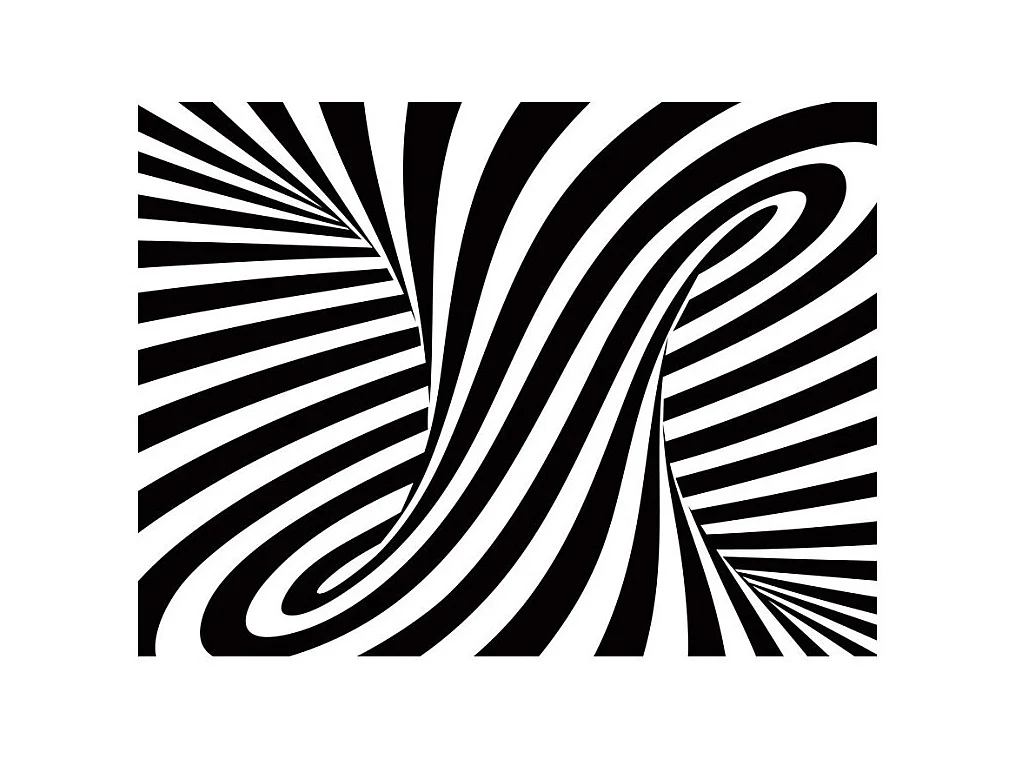 Papier Peint "Art Optique : Noir & Blanc" 270 x 350 cm