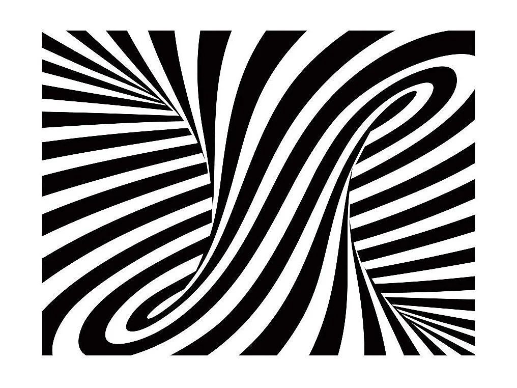 Papier Peint "Art Optique : Noir & Blanc" 270 x 350 cm