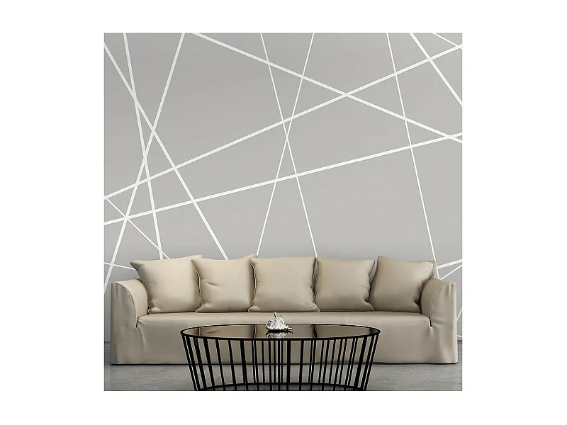 Papier Peint "Modern Cobweb" 245 x 350 cm