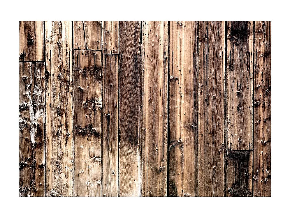 Papier Peint "Poetry of Wood" 245 x 350 cm