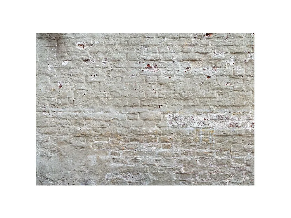 Papier Peint "Hidden Harmony" 105 x 150 cm