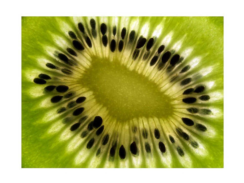 Papier Peint "Fruits : Kiwi" 270 x 350 cm